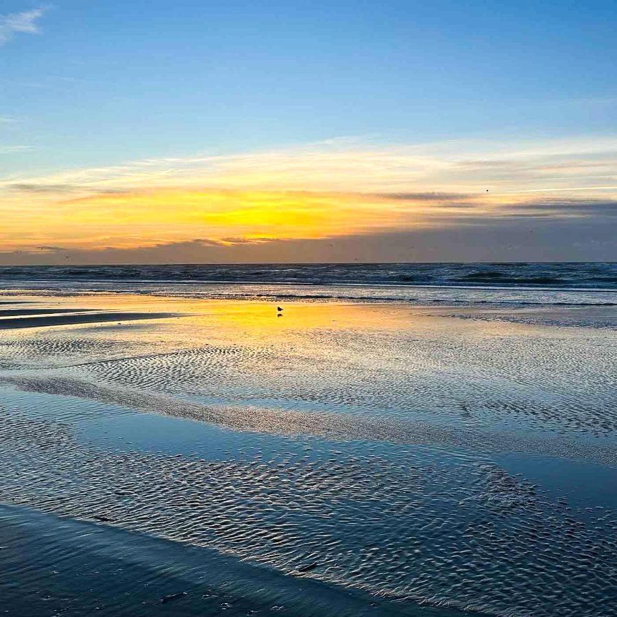 Le Pouget , Studio, Rez De Chaussee, Front De Mer Wifi Le Touquet المظهر الخارجي الصورة